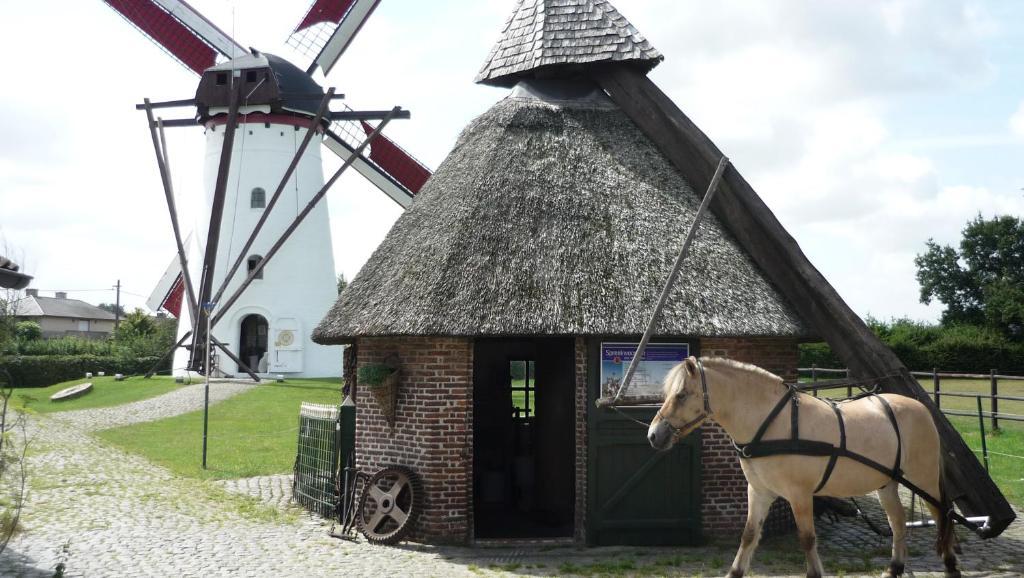 De Rosmolen Villa Ertvelde Exteriör bild