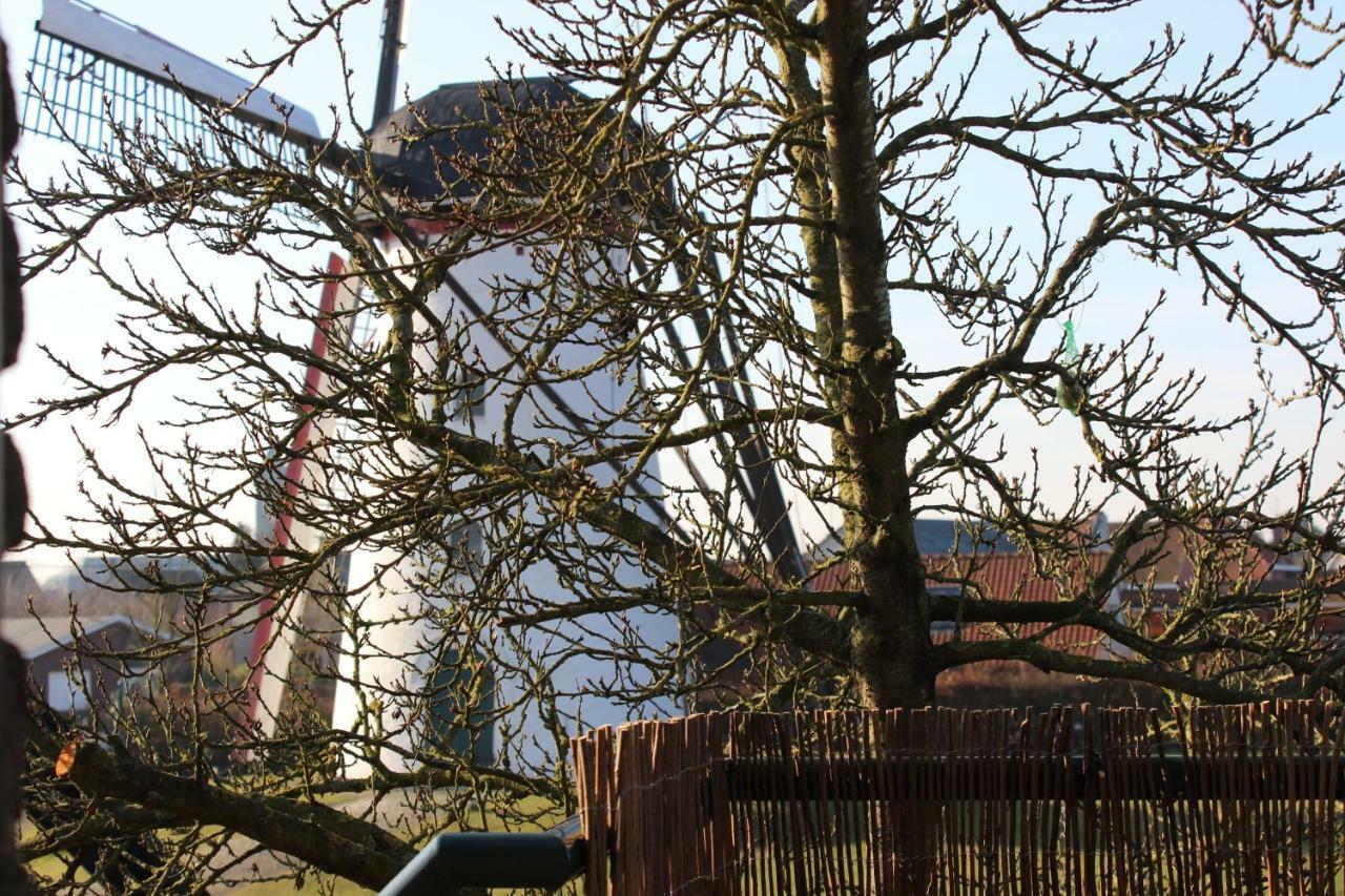 De Rosmolen Villa Ertvelde Exteriör bild